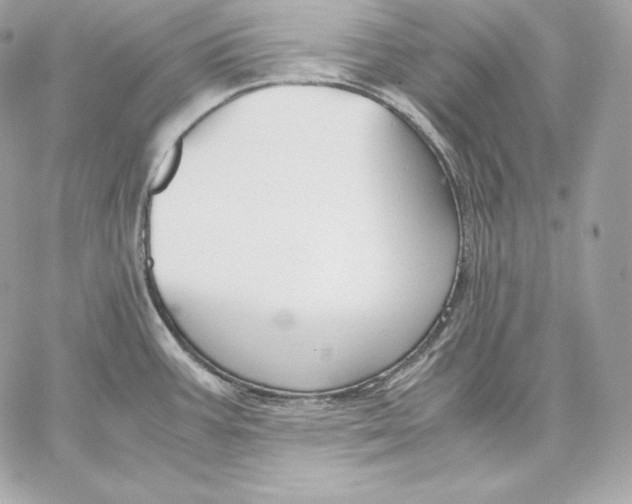 X0000059801387200511111550