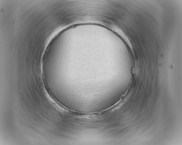 X0000059801388200511111550