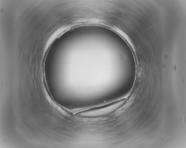 X0000059801389200511111550