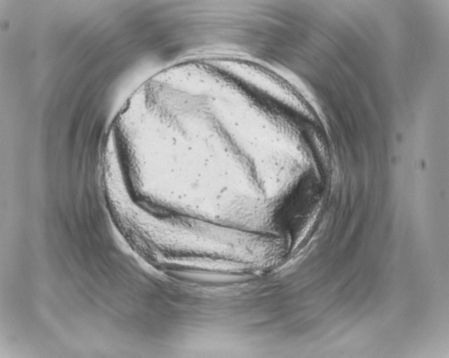 X0000059801390200511111550