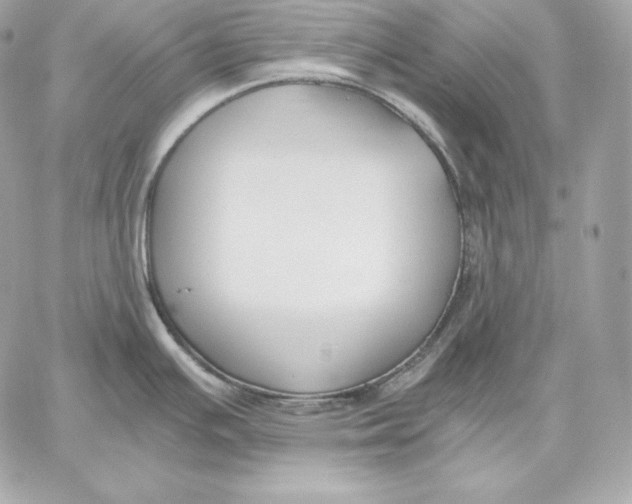 X0000059801391200511111550