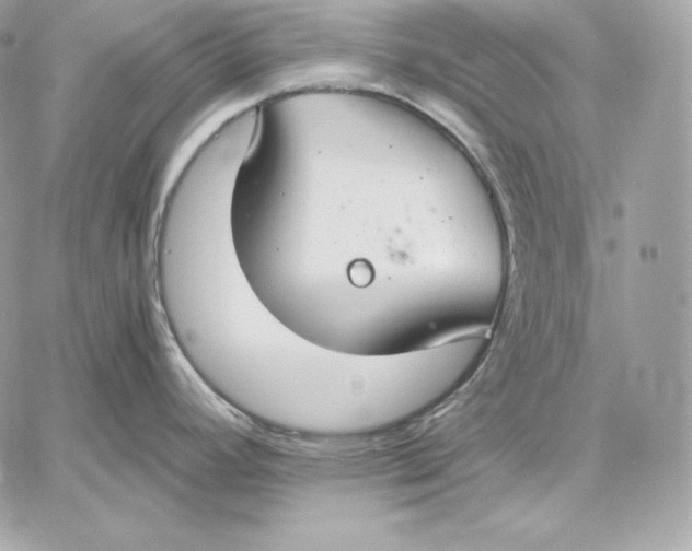 X0000059801392200511111550