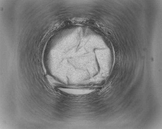 X0000059801393200511111549