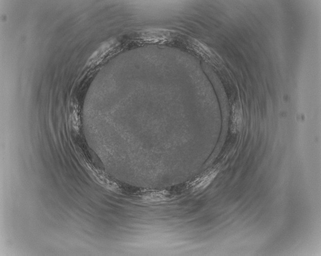 X0000059801394200511111549