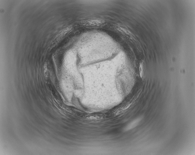 X0000059801395200511111549