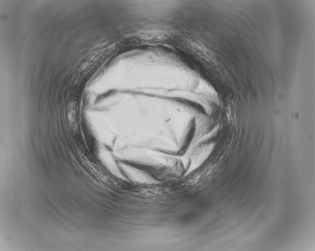 X0000059801396200511111549