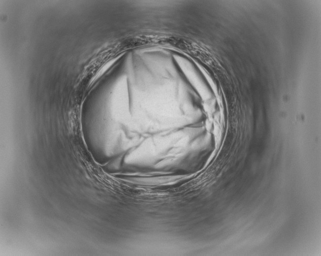 X0000059801397200511111549