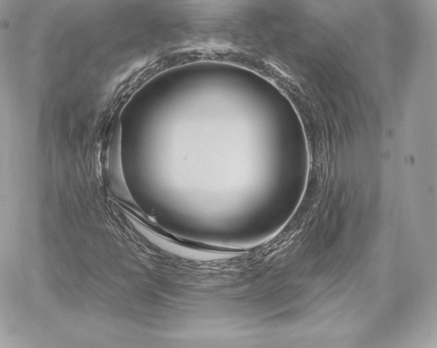 X0000059801398200511111549