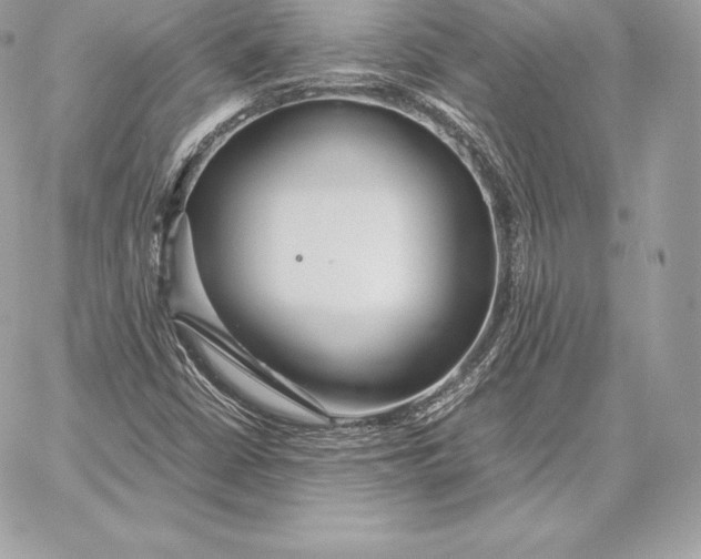 X0000059801402200511111549