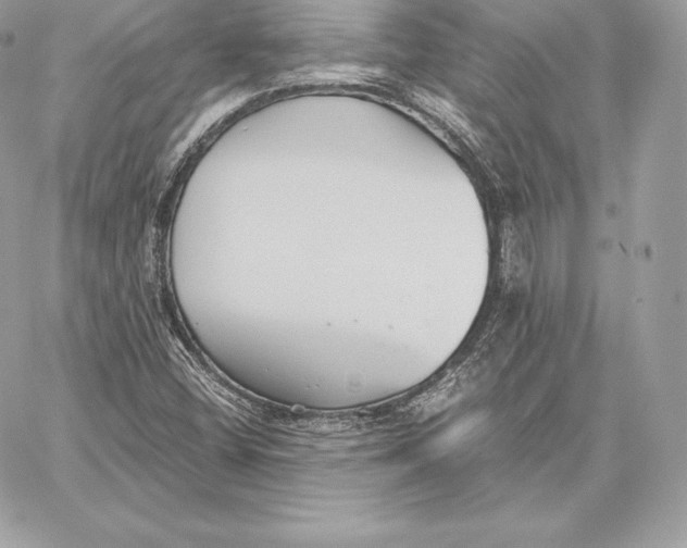 X0000059801404200511111549