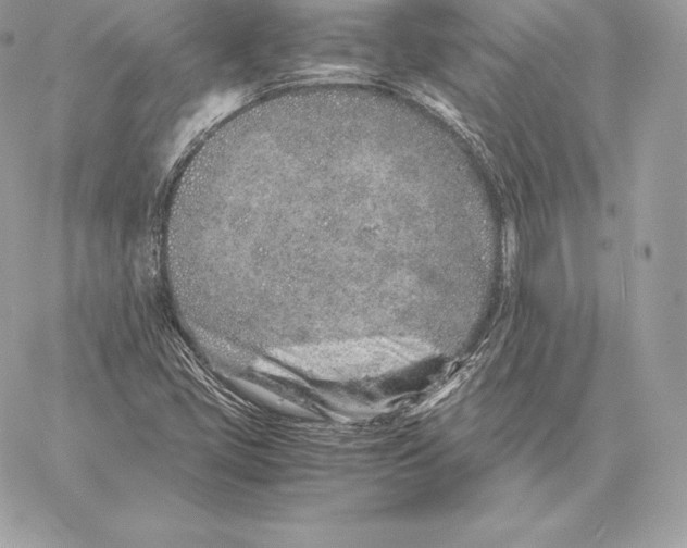 X0000059801405200511111549