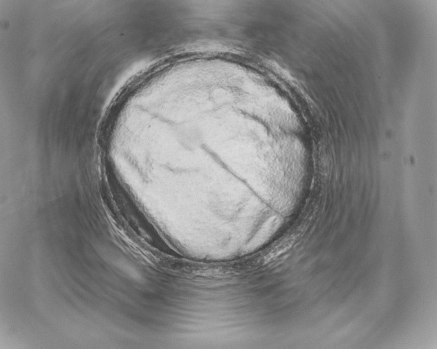 X0000059801408200511111549