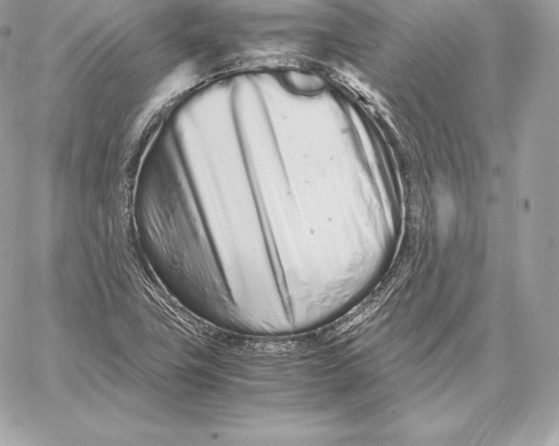 X0000059801411200511111549