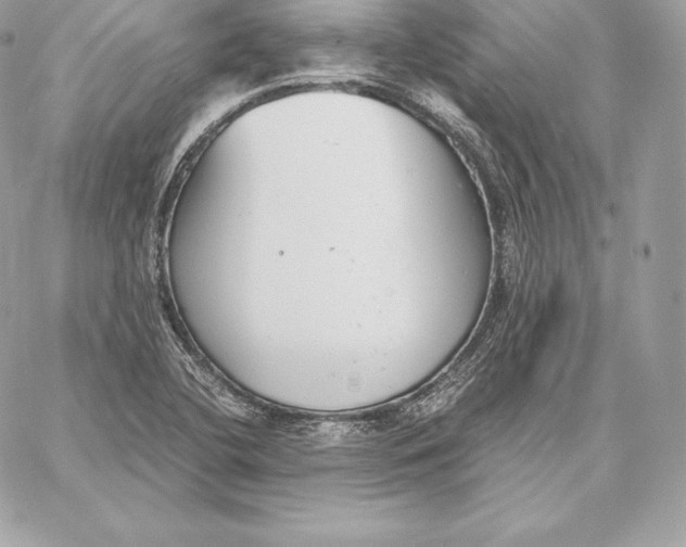 X0000059801412200511111549