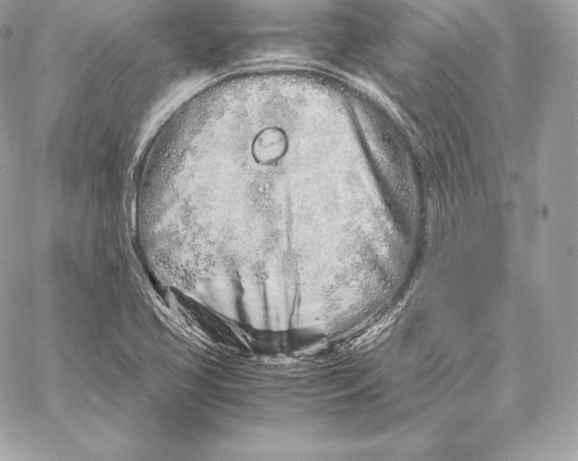 X0000059801413200511111549