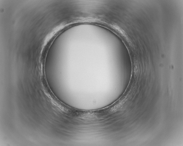 X0000059801414200511111549