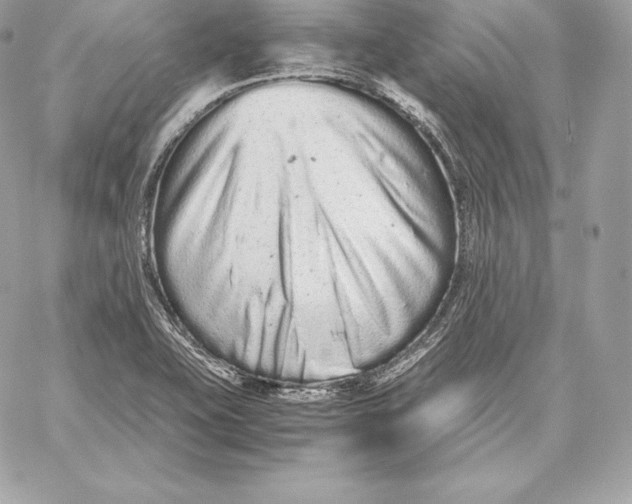 X0000059801415200511111549