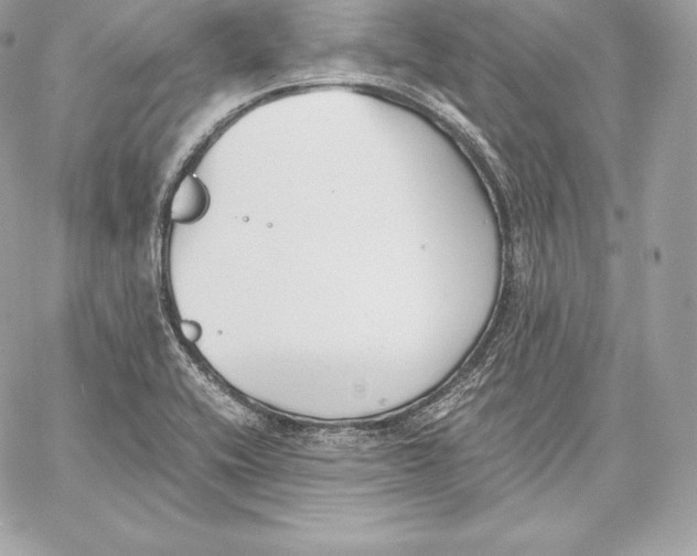 X0000059801416200511111549