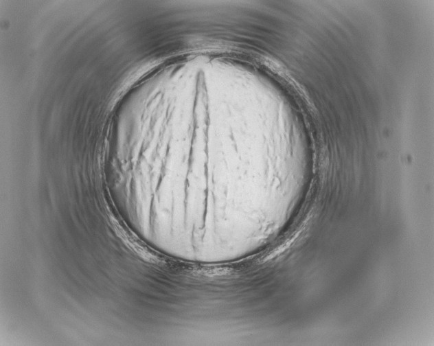 X0000059801417200511111549