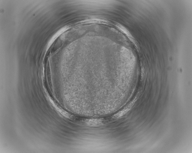 X0000059801418200511111549