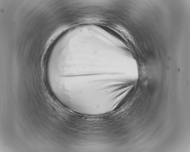 X0000059801419200511111549