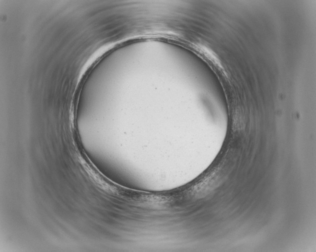 X0000059801420200511111549