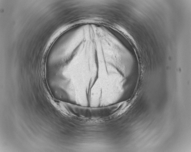 X0000059801421200511111549