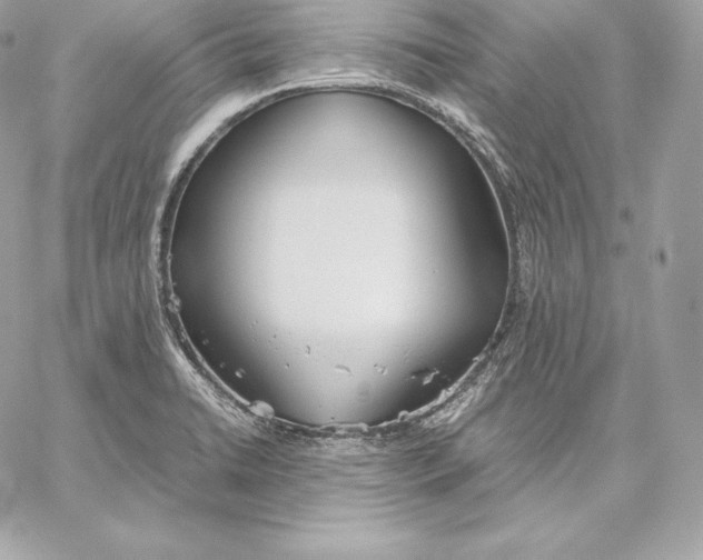 X0000059801422200511111549