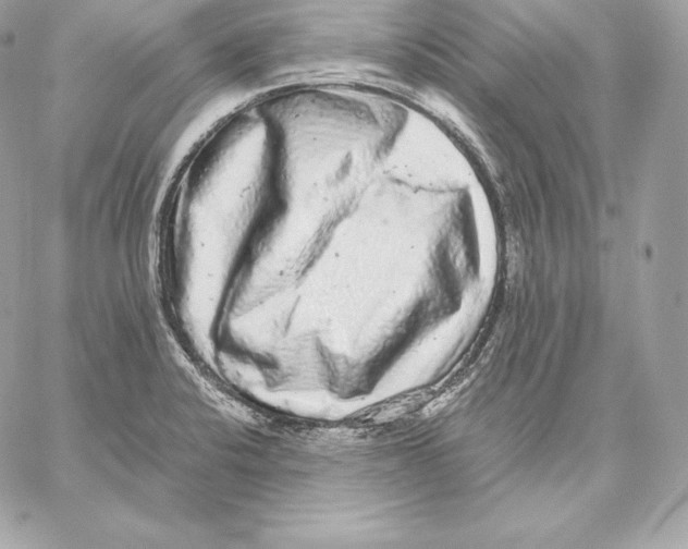 X0000059801424200511111549