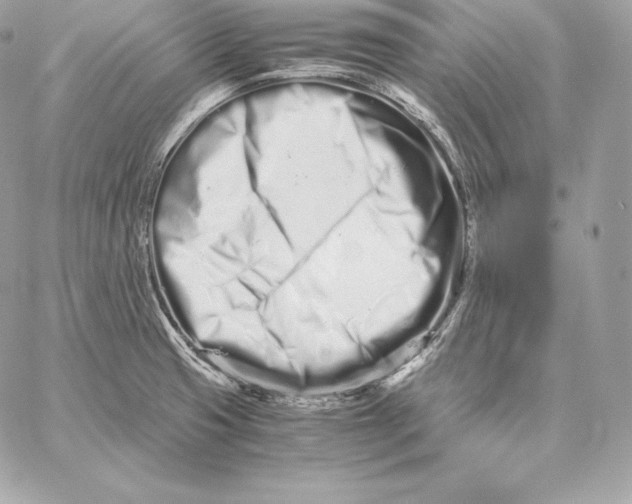 X0000059801425200511111549