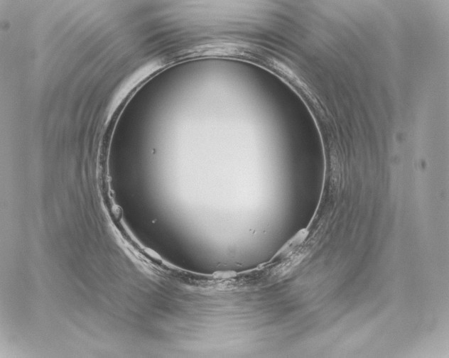 X0000059801426200511111549