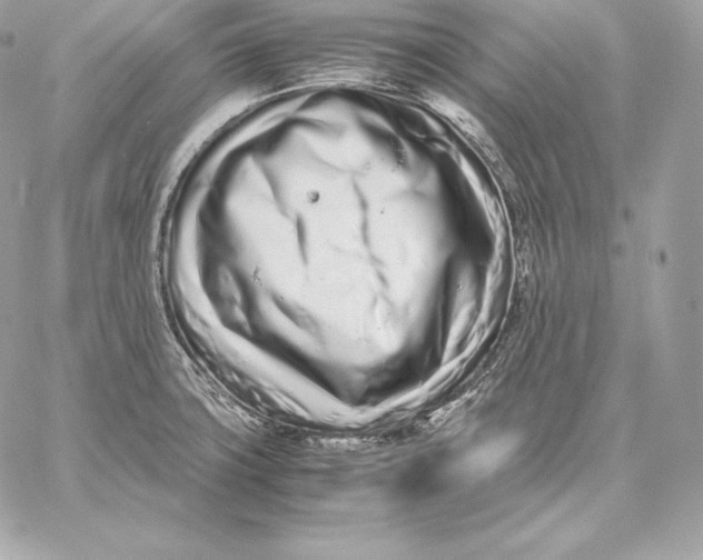 X0000059801427200511111549