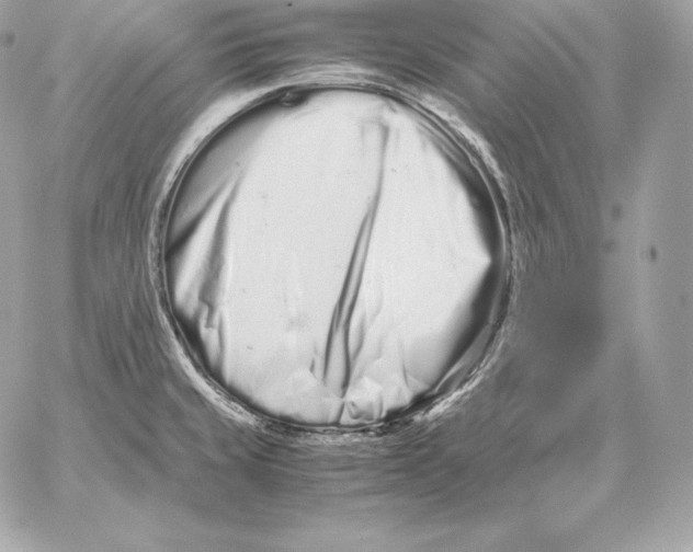 X0000059801429200511111549