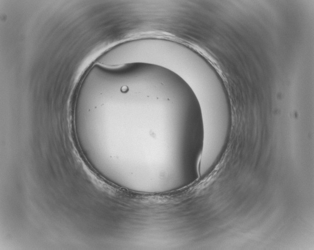 X0000059801430200511111549