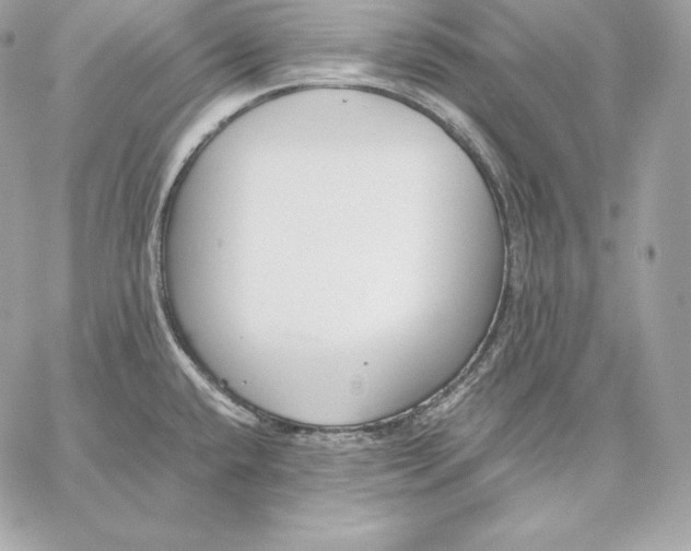 X0000059801432200511111549