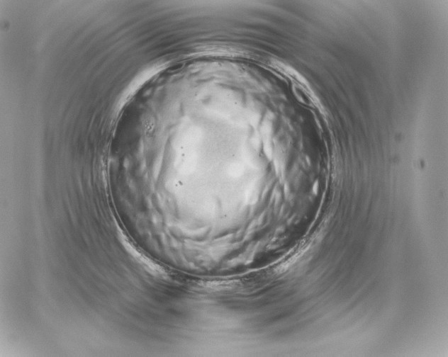 X0000059801433200511111549