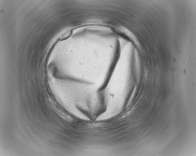 X0000059801435200511111549