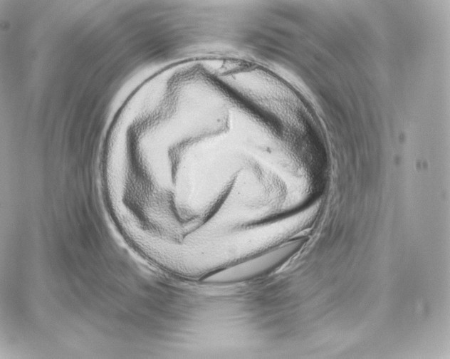 X0000059801440200511111550