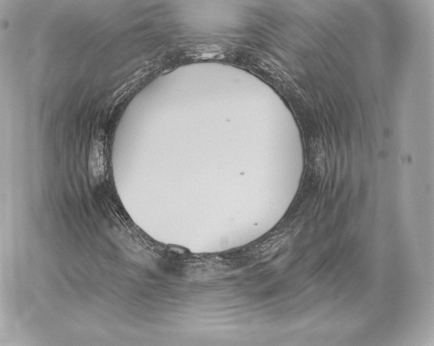 X0000059801442200511111549