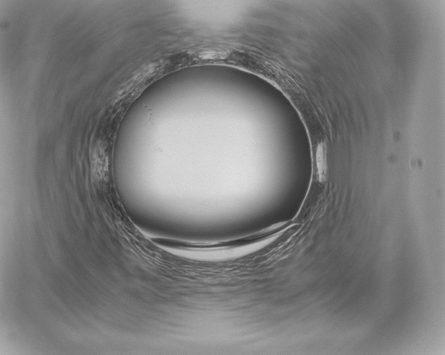 X0000059801443200511111549