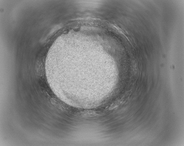 X0000059801446200511111549