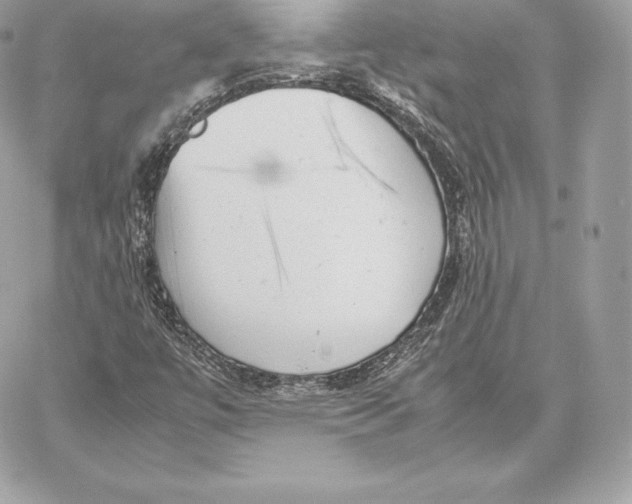 X0000059801447200511111549