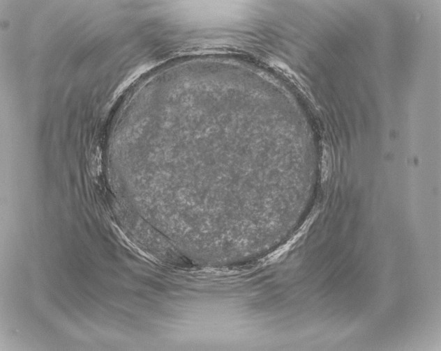 X0000059801449200511111549