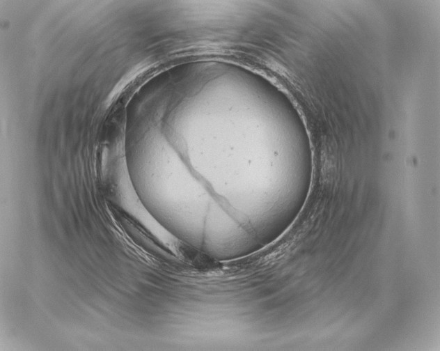 X0000059801450200511111549