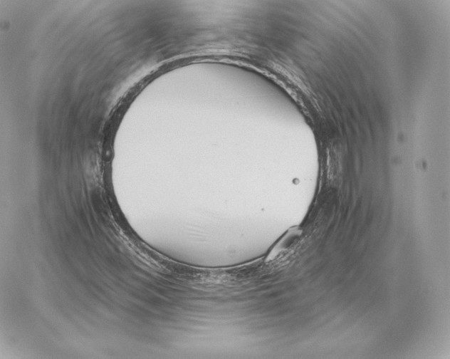 X0000059801452200511111549