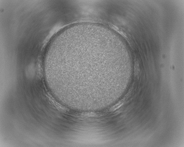 X0000059801454200511111549