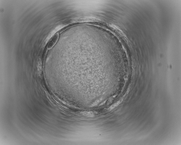 X0000059801457200511111549