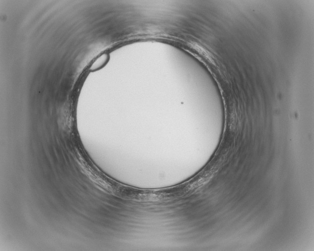 X0000059801458200511111548