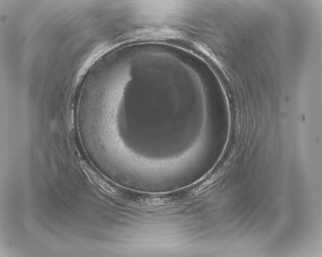 X0000059801459200511111548