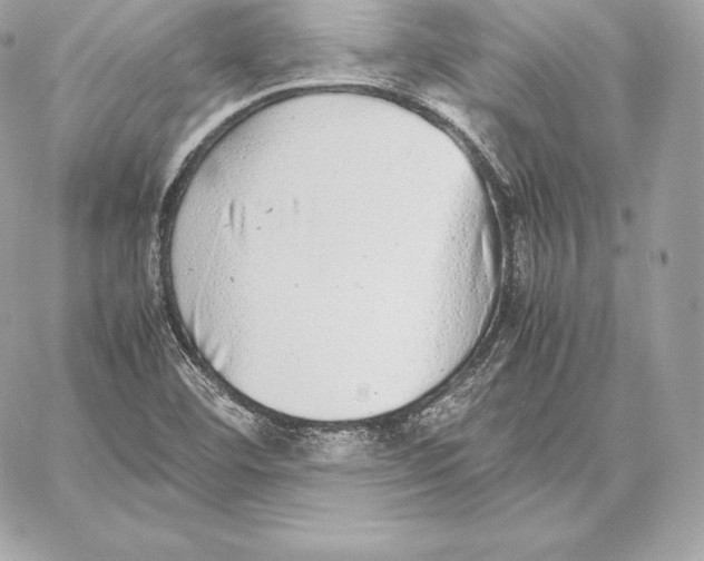 X0000059801460200511111548